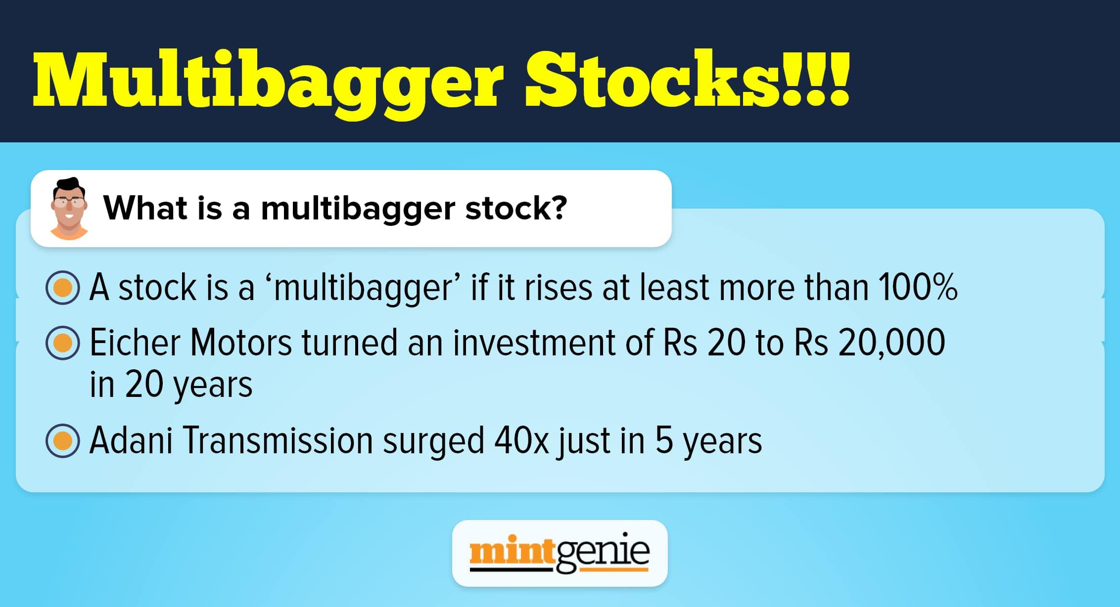What are multibagger stocks