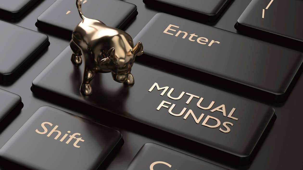 Equity Funds invest in different shares of different companies.