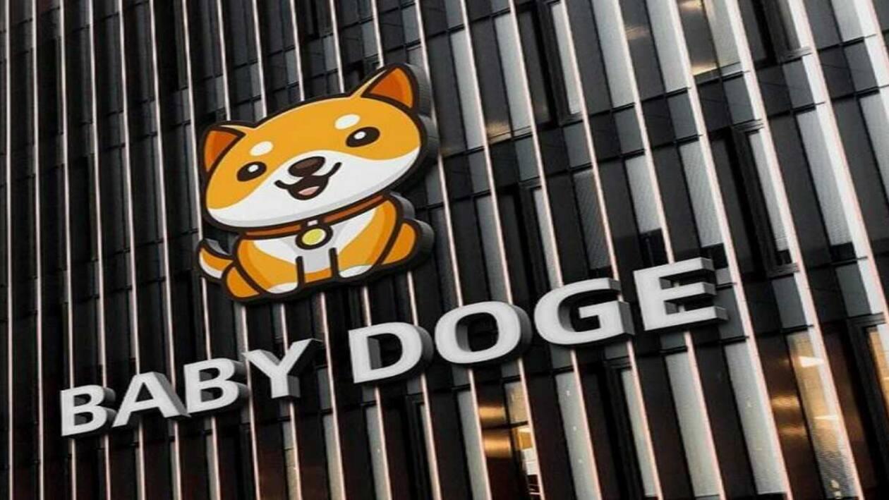 Baby Doge Coin is one of the meme coin inspired by Dogecoin such as FLOKI and other dog-themed coins