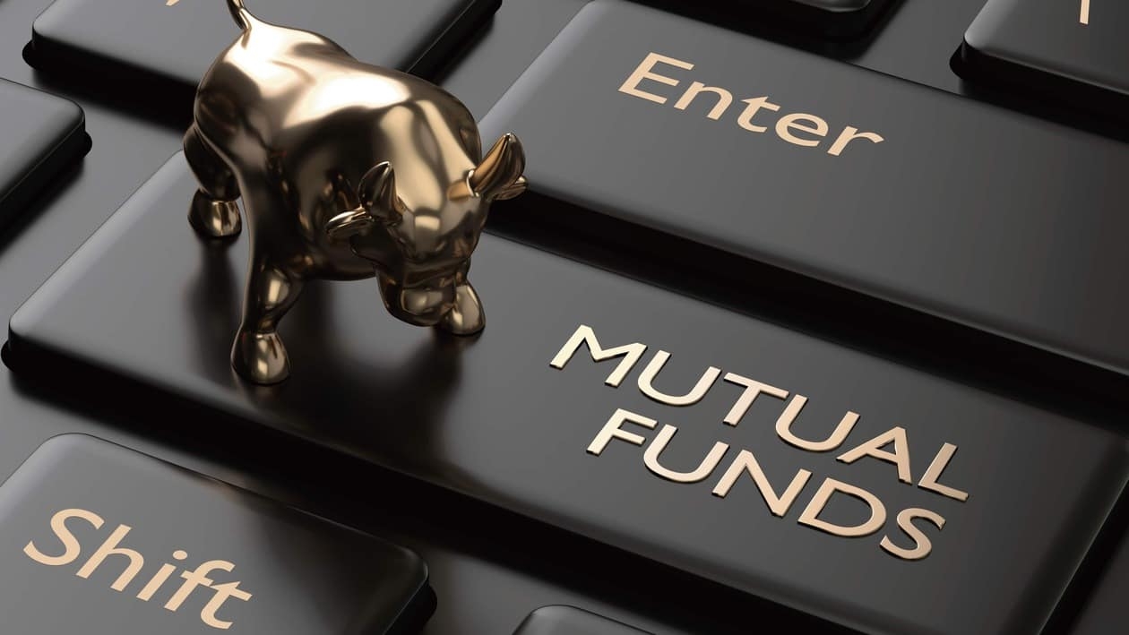 What is the ideal number of mutual funds in an investment portfolio?
