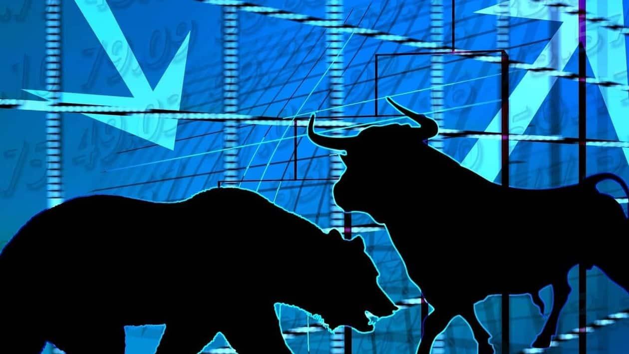Your stock investment journey is incomplete without its fair shares of bears and bulls.