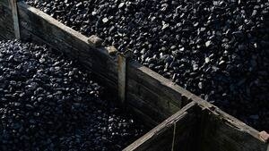 Coal India has a P/E of 6.70, which is on the lower side compared to the sector P/E of 7.39.