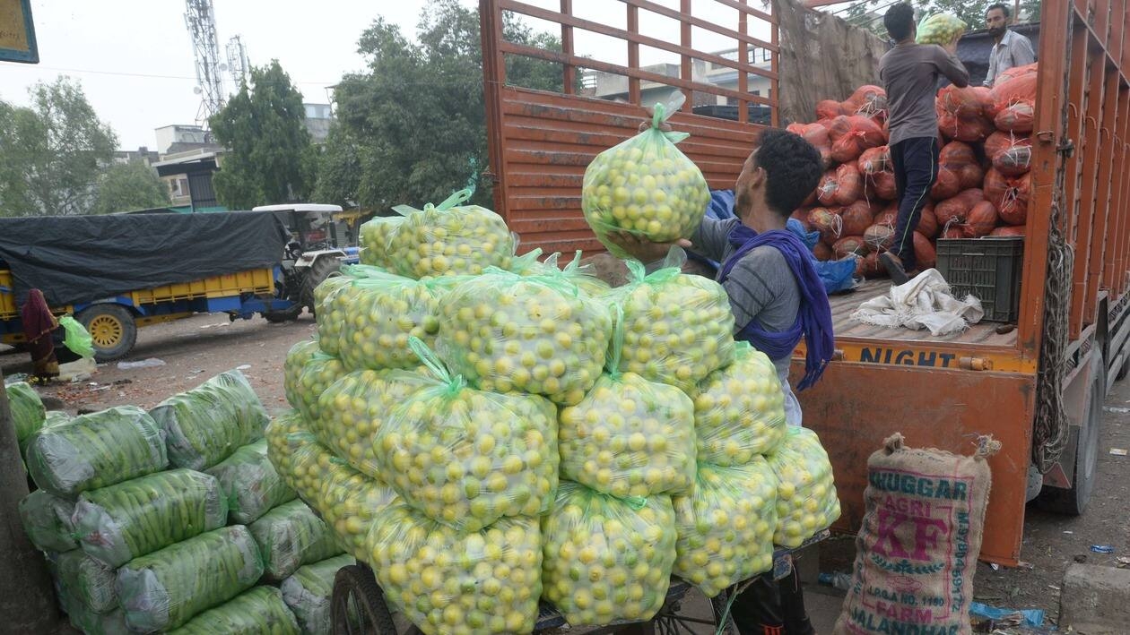 Jalandhar: Workers load lemons, packed in plastic bags, in a truck despite the government's ban on the manufacture, sale and use of single-use plastics, at a wholesale vegetable market, in Jalandhar, Friday, July 8, 2022. (PTI Photo)(PTI07_08_2022_000250A)