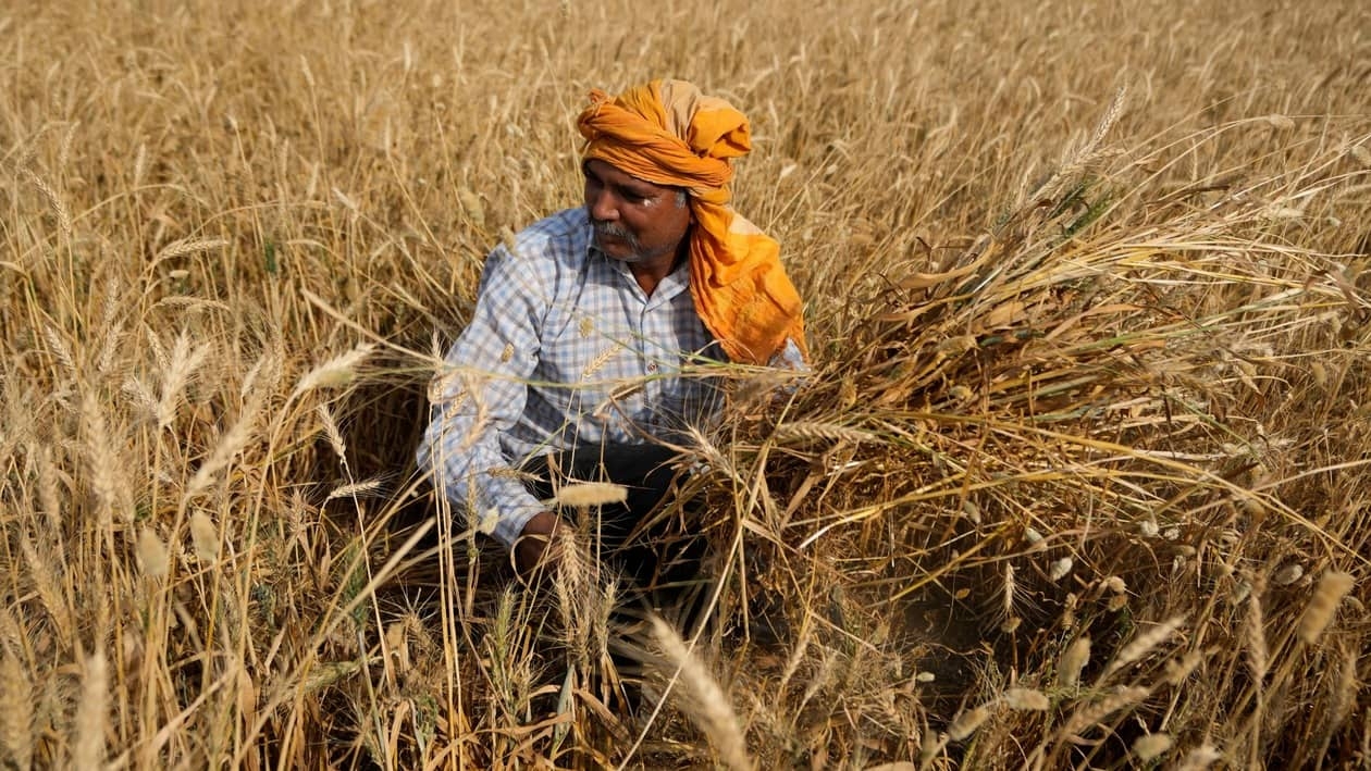 The agriculture sector is one of the worst-hit sectors during heatwaves in India.