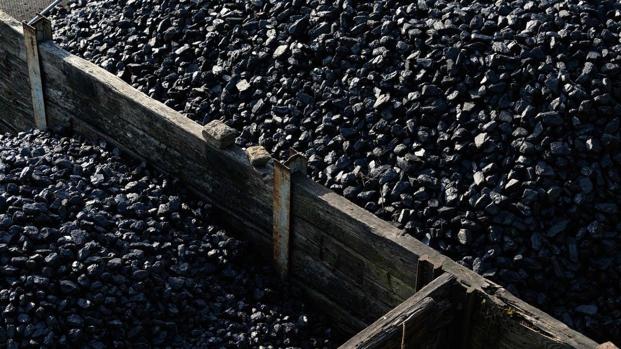 Coal India fell as much as 4.7 percent to its day's low of  <span class='webrupee'>₹</span>229.65.