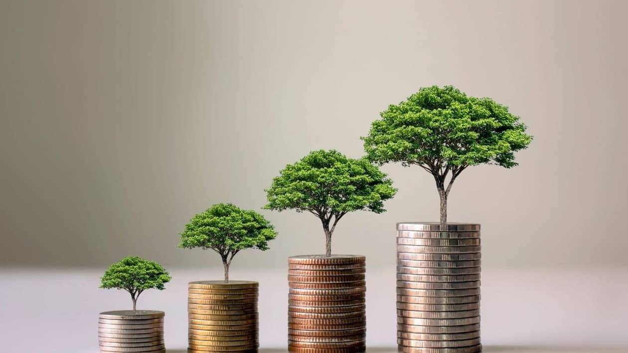 While the potential for growth and profitability is enticing, it is crucial for mutual fund investors to make informed decisions and adopt a prudent approach.