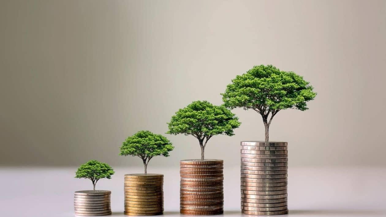 Should you invest in the newly launched Axis Nifty IT Index Fund?